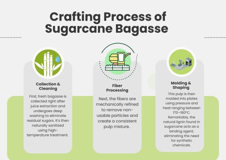 Infography of the crafting Process of Sugarcane Bagasse