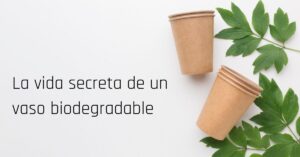 La vida secreta de un vaso biodegradable
